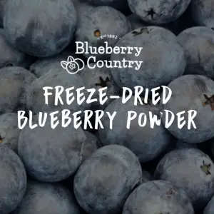 Freeze-Dried Blueberry Powder