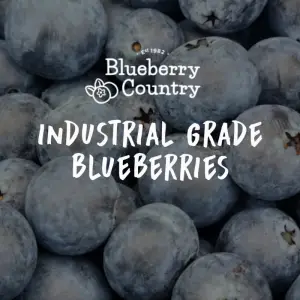 Industrial Grade Blueberries (10-12 brix)