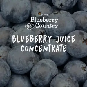 Blueberry Juice Concentrate (65 brix)