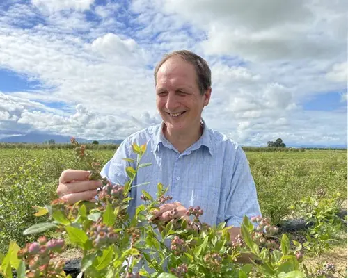 Blueberry Farm NZ