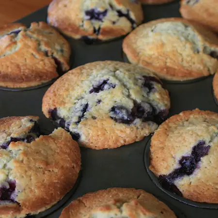 blueberry family recipes