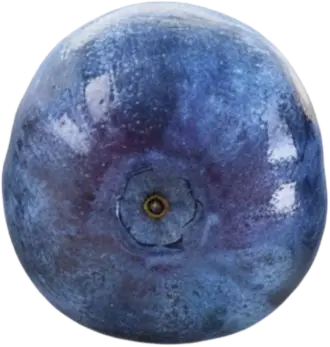 buy wholesale blueberries frozen